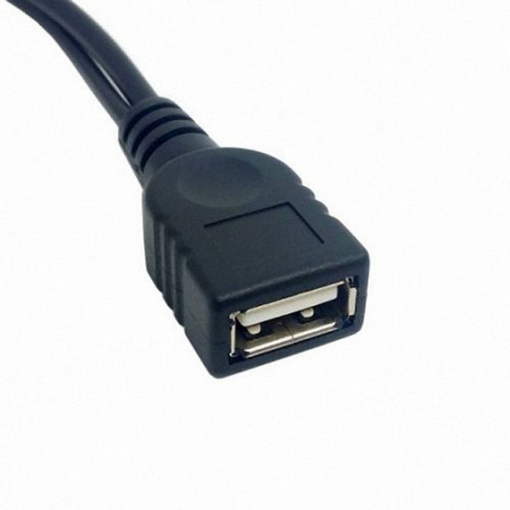 Chenyang Black USB 2.0 Female A to Dual A Male Extra Power Data Y Extension Cable for 2.5" Mobile Hard Disk U2-131