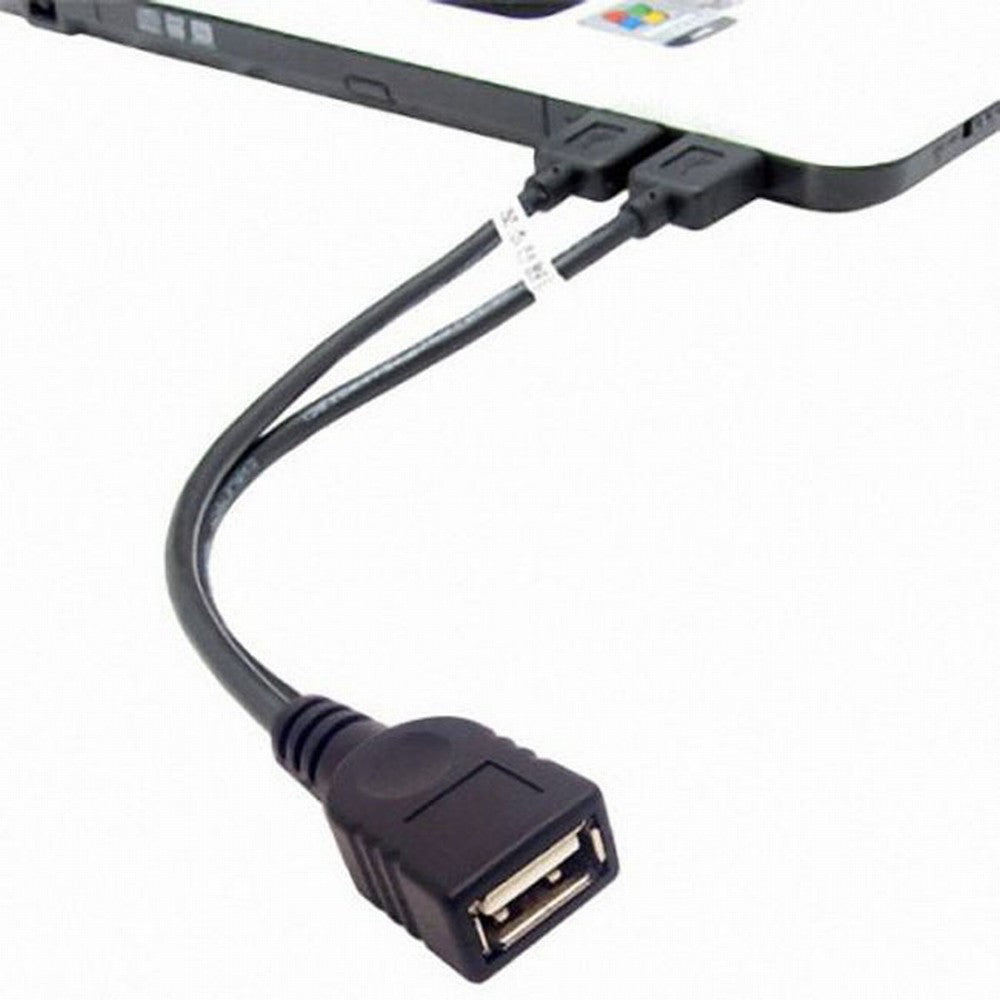 Chenyang Black USB 2.0 Female A to Dual A Male Extra Power Data Y Extension Cable for 2.5" Mobile Hard Disk U2-131