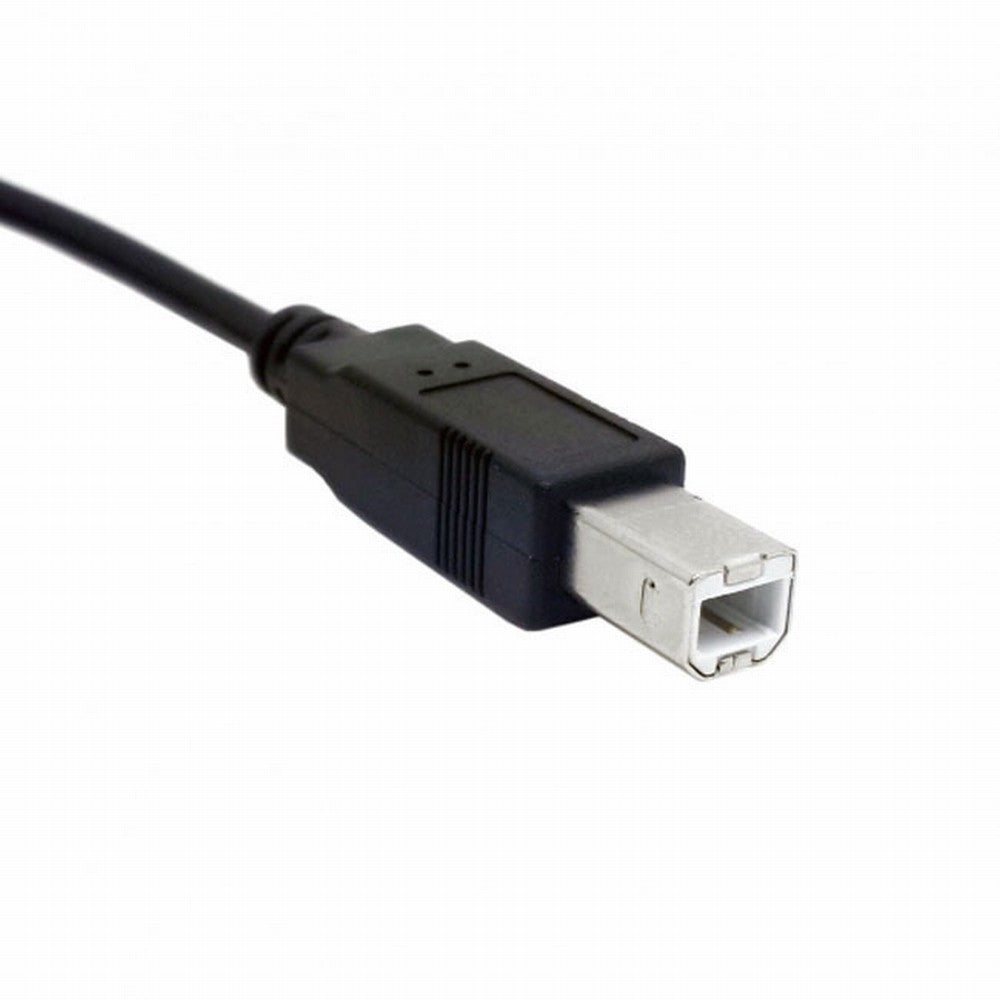 Chenyang Dual USB 2.0 Male to Standard B Male Y Cable 80cm for Printer Scanner External Hard Disk Drive U2-073