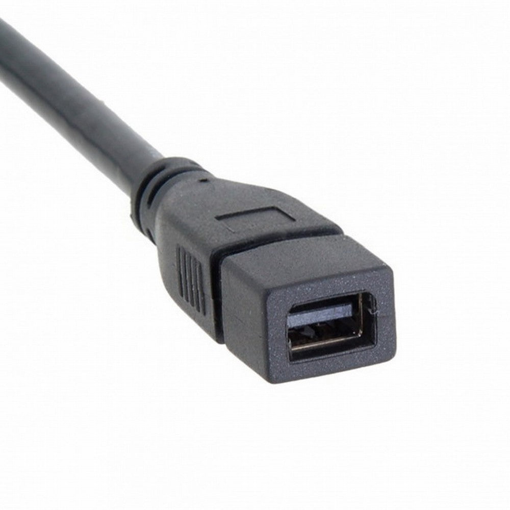 Chenyang DP DisplayPort Male to Mini DP DisplayPort Female Cable 20cm for Displays HDTV Monitor DP-048-BK