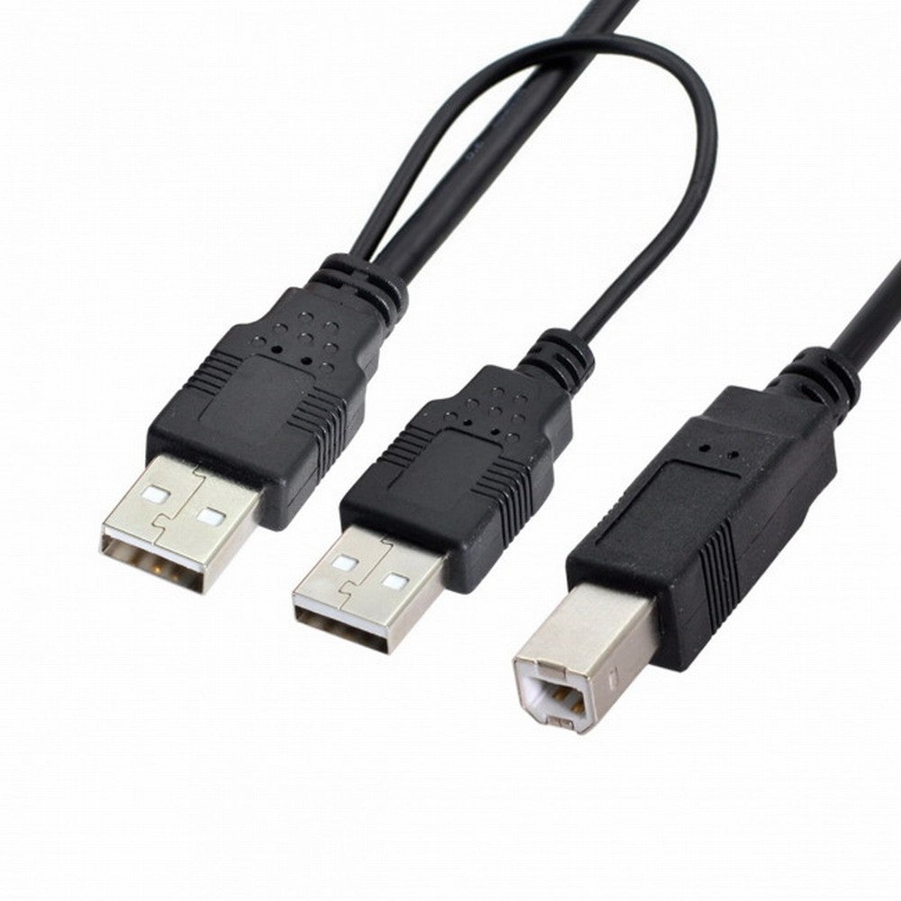 Chenyang Dual USB 2.0 Male to Standard B Male Y Cable 80cm for Printer Scanner External Hard Disk Drive U2-073