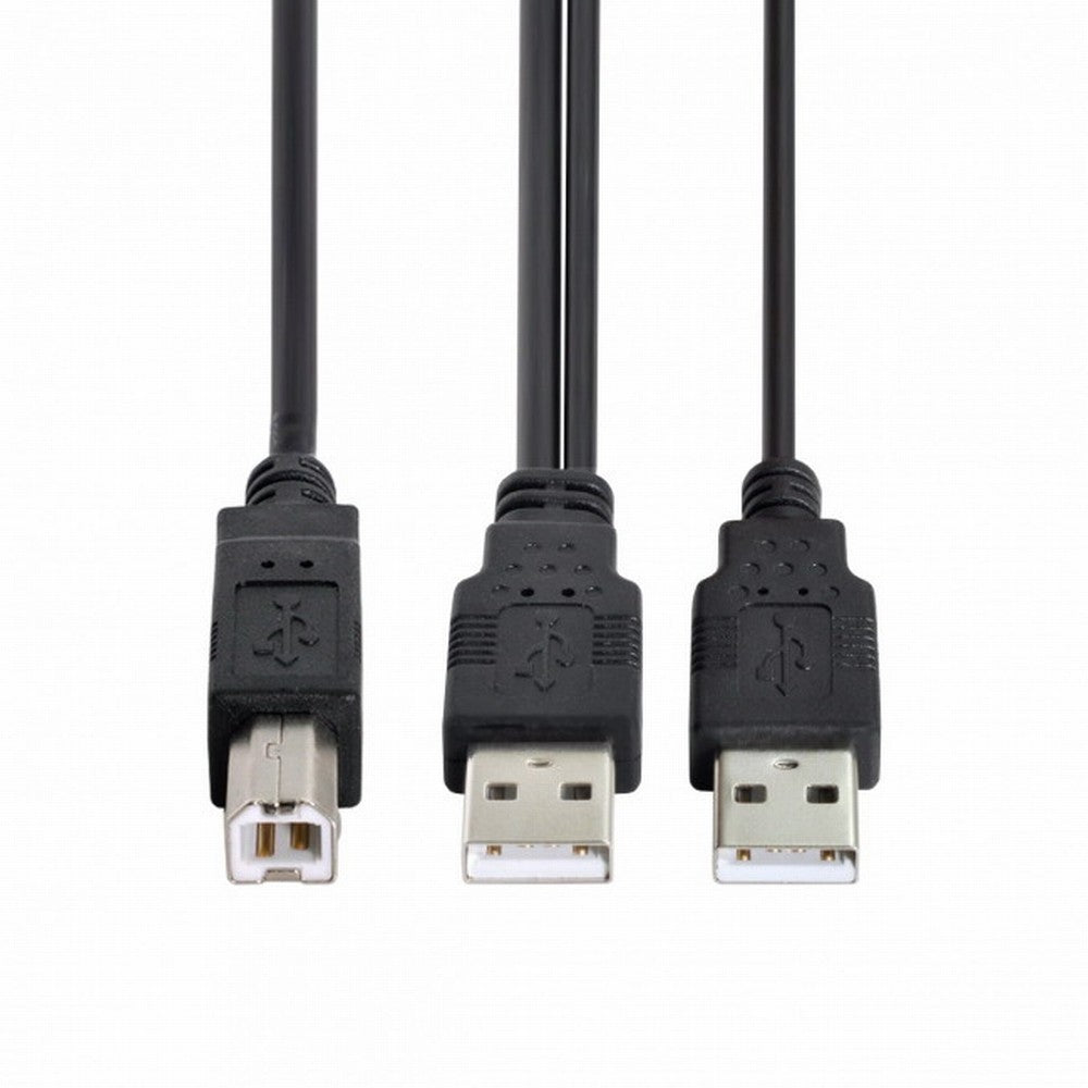 Chenyang Dual USB 2.0 Male to Standard B Male Y Cable 80cm for Printer Scanner External Hard Disk Drive U2-073