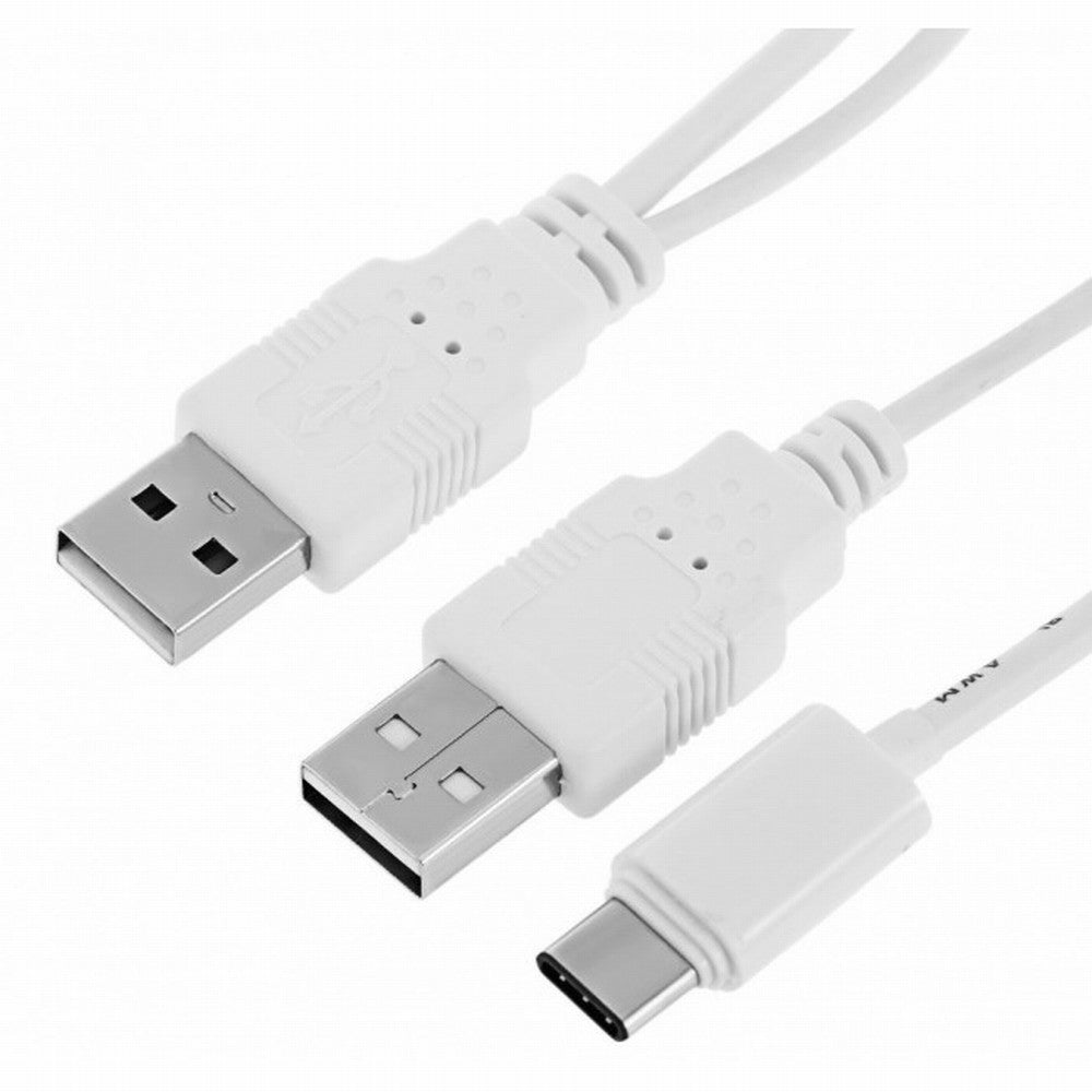 Chenyang USB 3.1 Type C USB-C to Dual A Male Extra Power Data Y Cable for Cell Phone Hard Disk UC-073