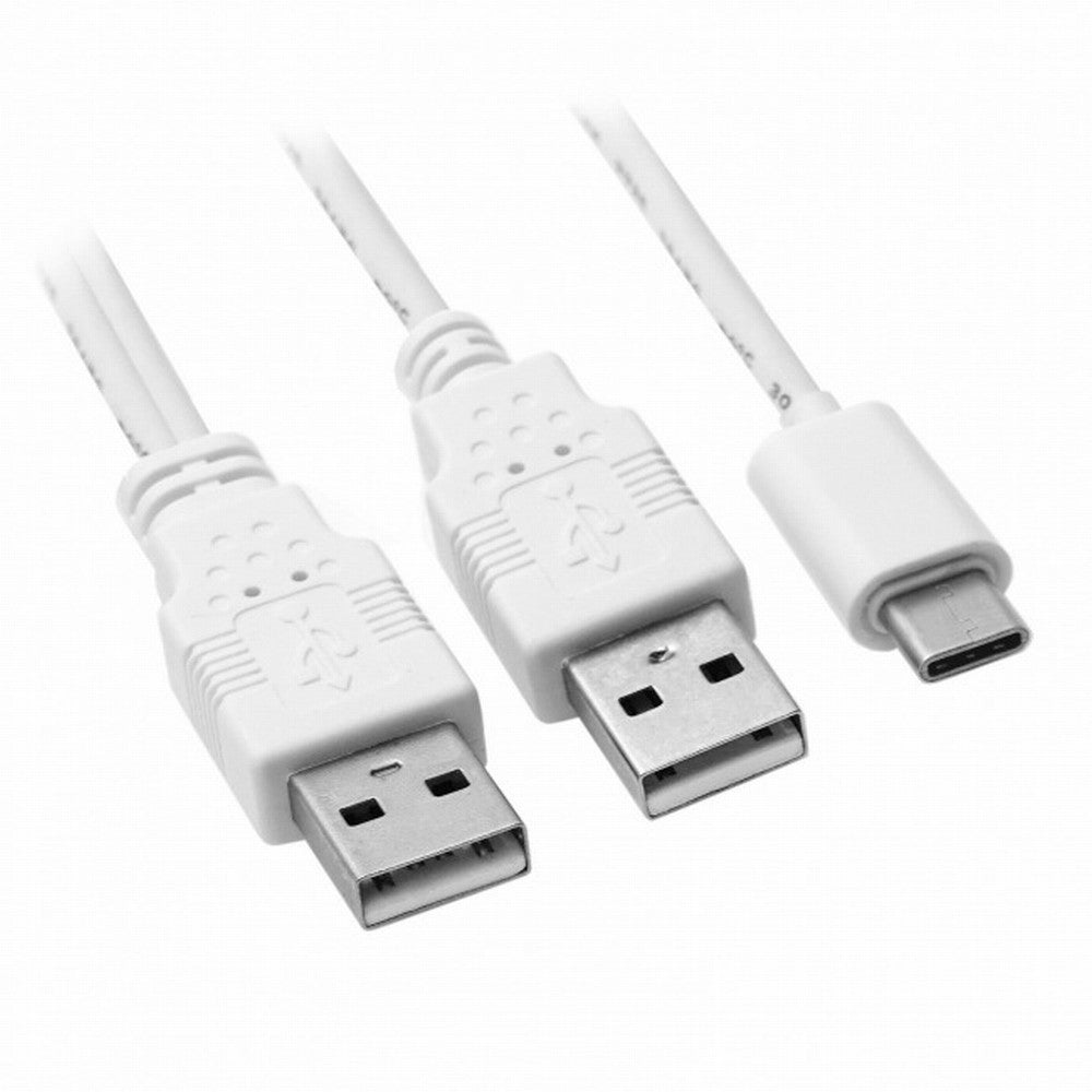 Chenyang USB 3.1 Type C USB-C to Dual A Male Extra Power Data Y Cable for Cell Phone Hard Disk UC-073