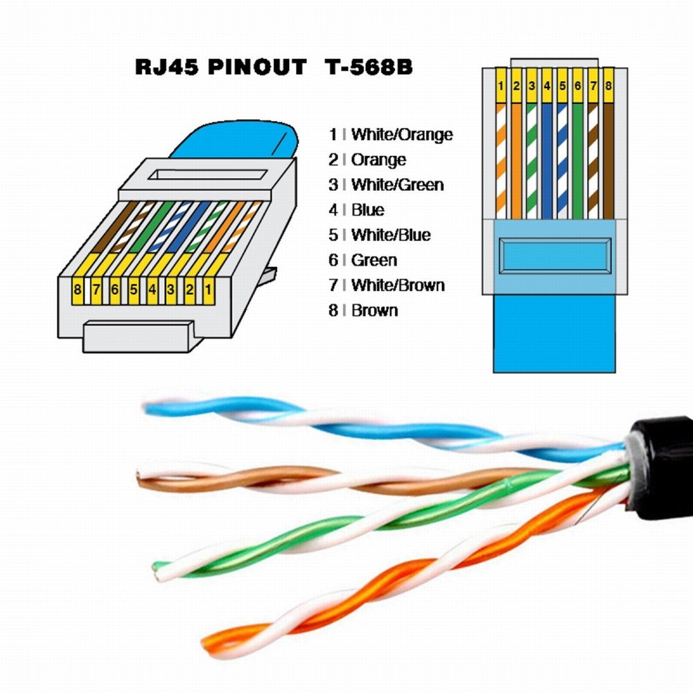 Chenyang RJ45 Cat6 8P8C UTP Male to Male Stretch Coiled Cable Lan Ethernet Network Patch Cord 100cm UT-019