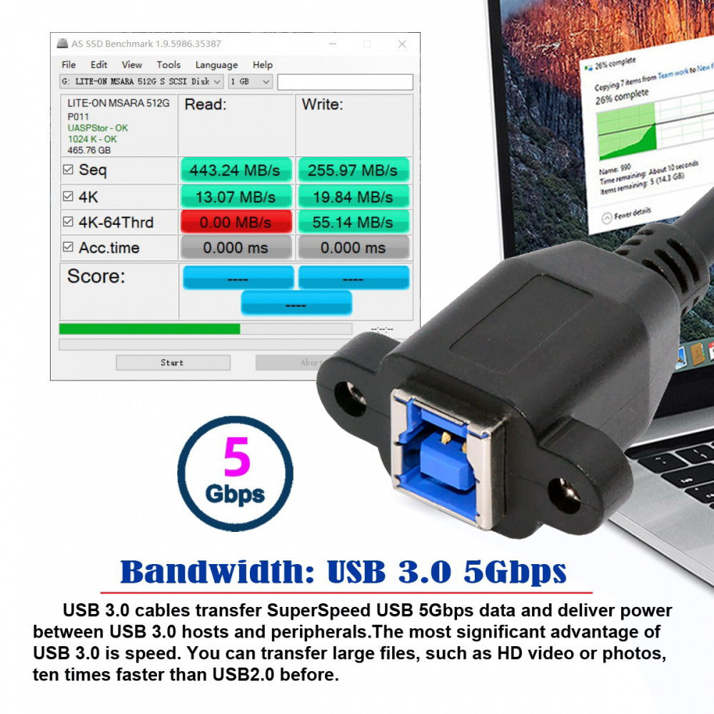 Chenyang USB 3.0 Type-B Female to USB3.0 Micro-B Male Cable Extension 5Gbps for Disk SSD Camera Data 30cm U3-087